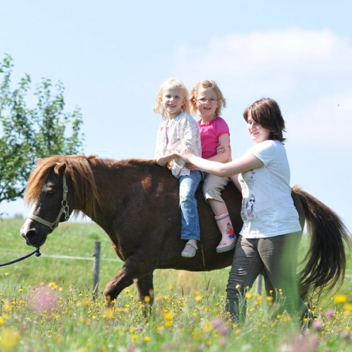 Zwei Kinder auf einem geführten Pferd